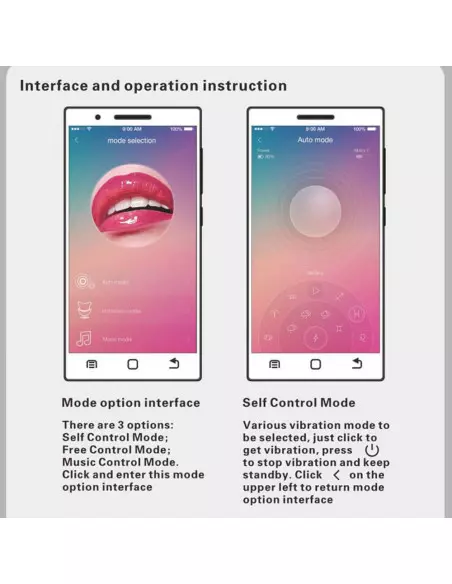 Pretty Love Elvira Purple Okos Vibrátor Gésa golyók Pretty Love