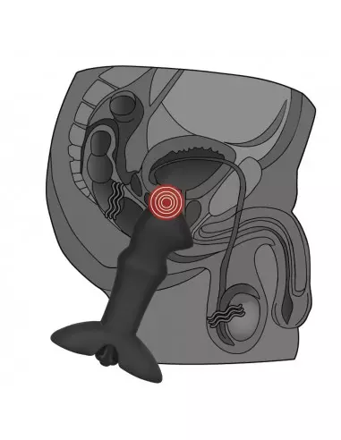 Anal Indulgence Collection Prostate Stud Prosztata Masszírozó Prosztata masszírozók Lovetoy