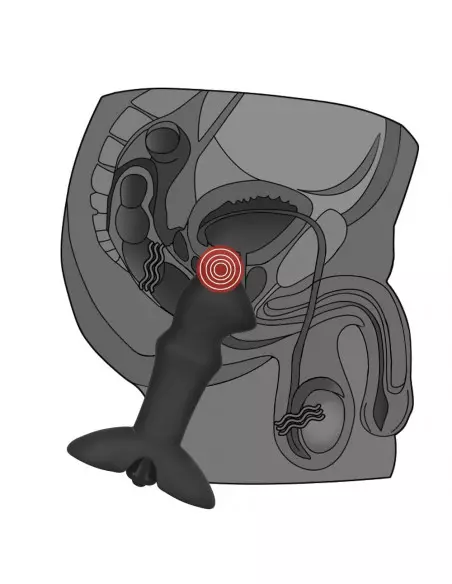 Anal Indulgence Collection Prostate Stud Prosztata Masszírozó Prosztata masszírozók Lovetoy
