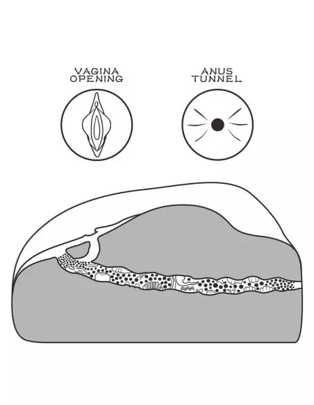 Streetgirl's 1 Black Maszturbátor Férfi maszturbátorok Lovetoy