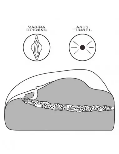 Streetgirl's 1 Maszturbátor Férfi maszturbátorok Lovetoy