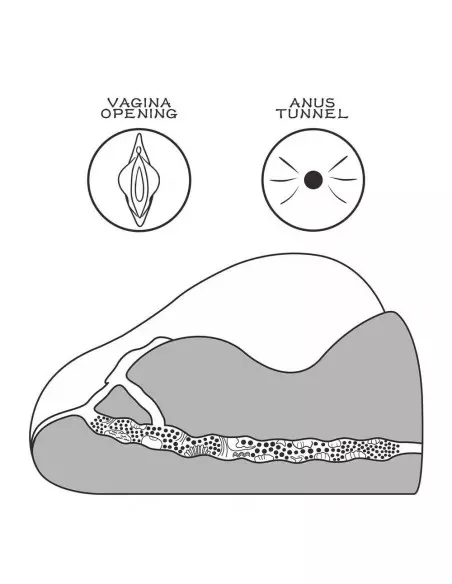 Streetgirl's 2 Black Maszturbátor Férfi maszturbátorok Lovetoy