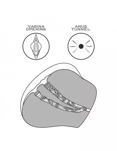 Streetgirl's 4 Maszturbátor Férfi maszturbátorok Lovetoy