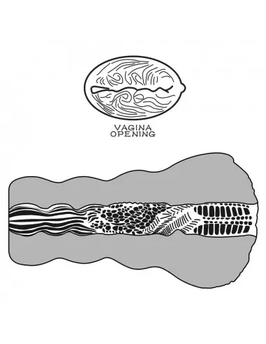 Alien's Pie 3 Maszturbátor Férfi maszturbátorok Lovetoy