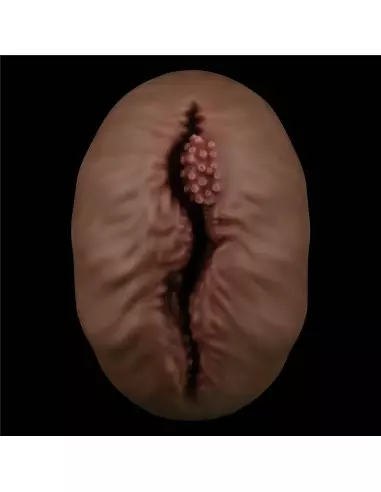 Alien's Pie 1 Black Maszturbátor Férfi maszturbátorok Lovetoy