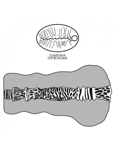 Alien's Pie 2 Maszturbátor Férfi maszturbátorok Lovetoy