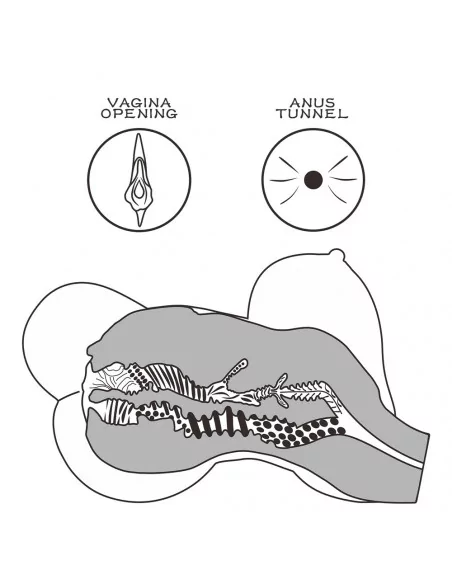 Streetgirl's 6 Maszturbátor Férfi maszturbátorok Lovetoy Streetgirl's 6 Maszturbátor Férfi maszturbátorok Lovetoy