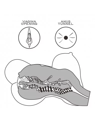 Streetgirl's 6 Black Maszturbátor Férfi maszturbátorok Lovetoy