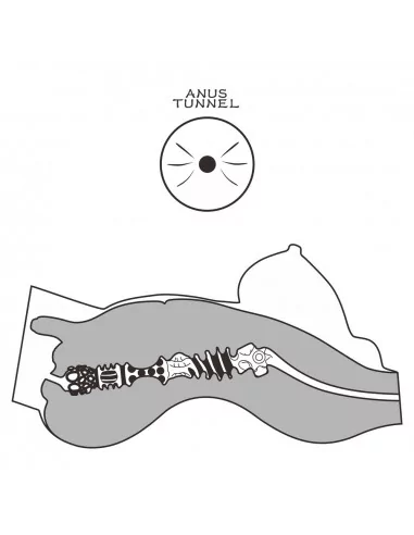 Streetgirl's 8 Maszturbátor Férfi maszturbátorok Lovetoy