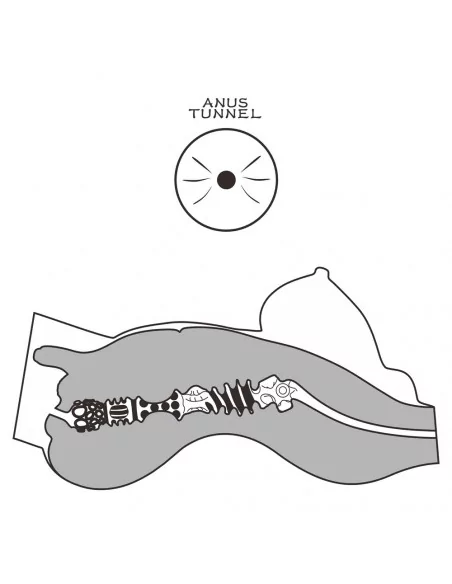 Streetgirl's 8 Maszturbátor Férfi maszturbátorok Lovetoy Streetgirl's 8 Maszturbátor Férfi maszturbátorok Lovetoy