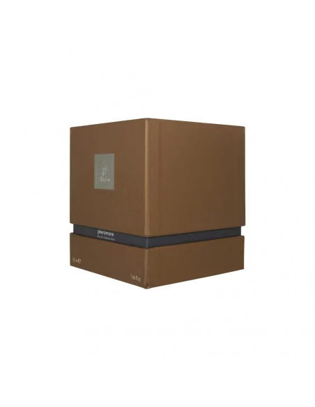 SHIATSU Pheromon Fragrance man grey 50 ml Parfümök Shiatsu