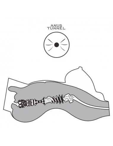 Streetgirl's 8 Black Maszturbátor Férfi maszturbátorok Lovetoy