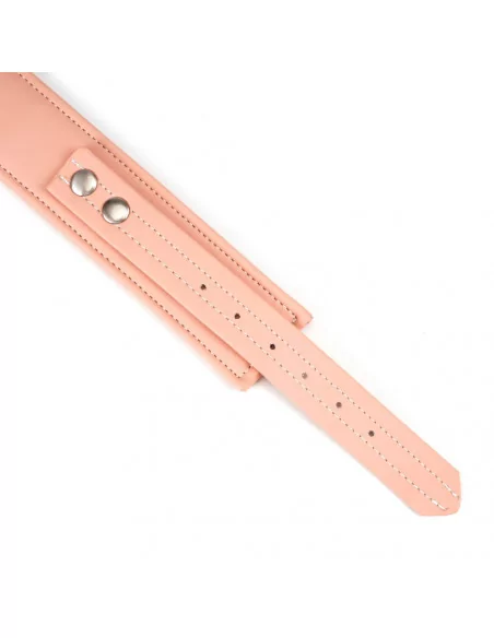 Pink Organosilicon Collar with Leash Nyakörv és póráz LIEBE SEELE