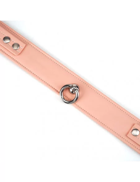 Pink Organosilicon Collar with Leash Nyakörv és póráz LIEBE SEELE