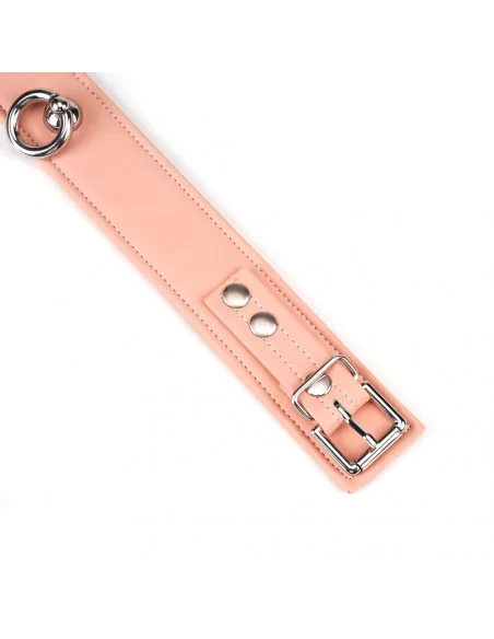 Pink Organosilicon Collar with Leash Nyakörv és póráz LIEBE SEELE