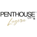 Penthouse logó